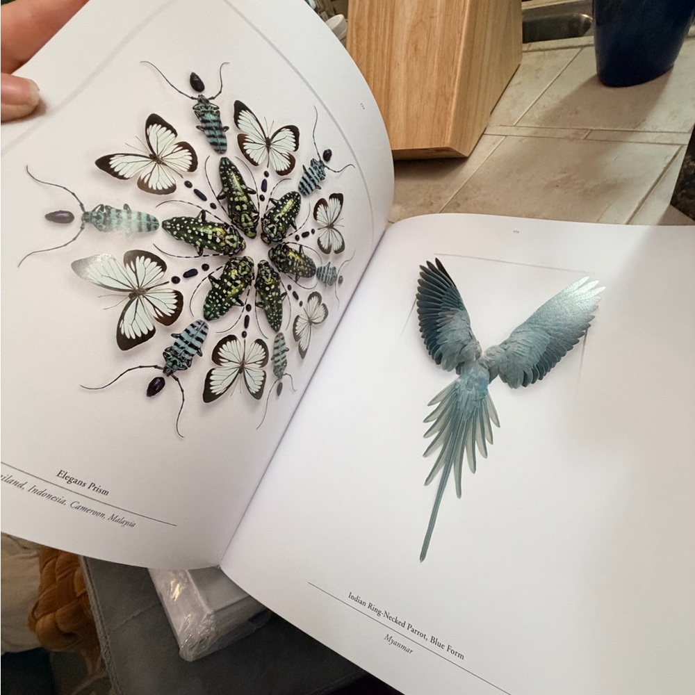 Biophilia art photography by Christopher Marley stunning - Picture 5 of 10